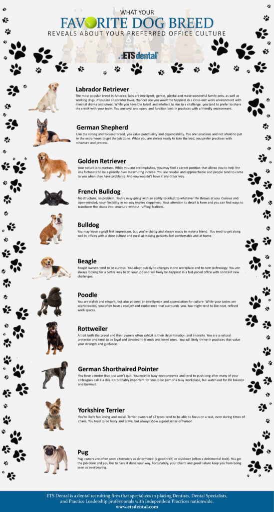 Dental - What Your Favorite Dog Breed Reveals