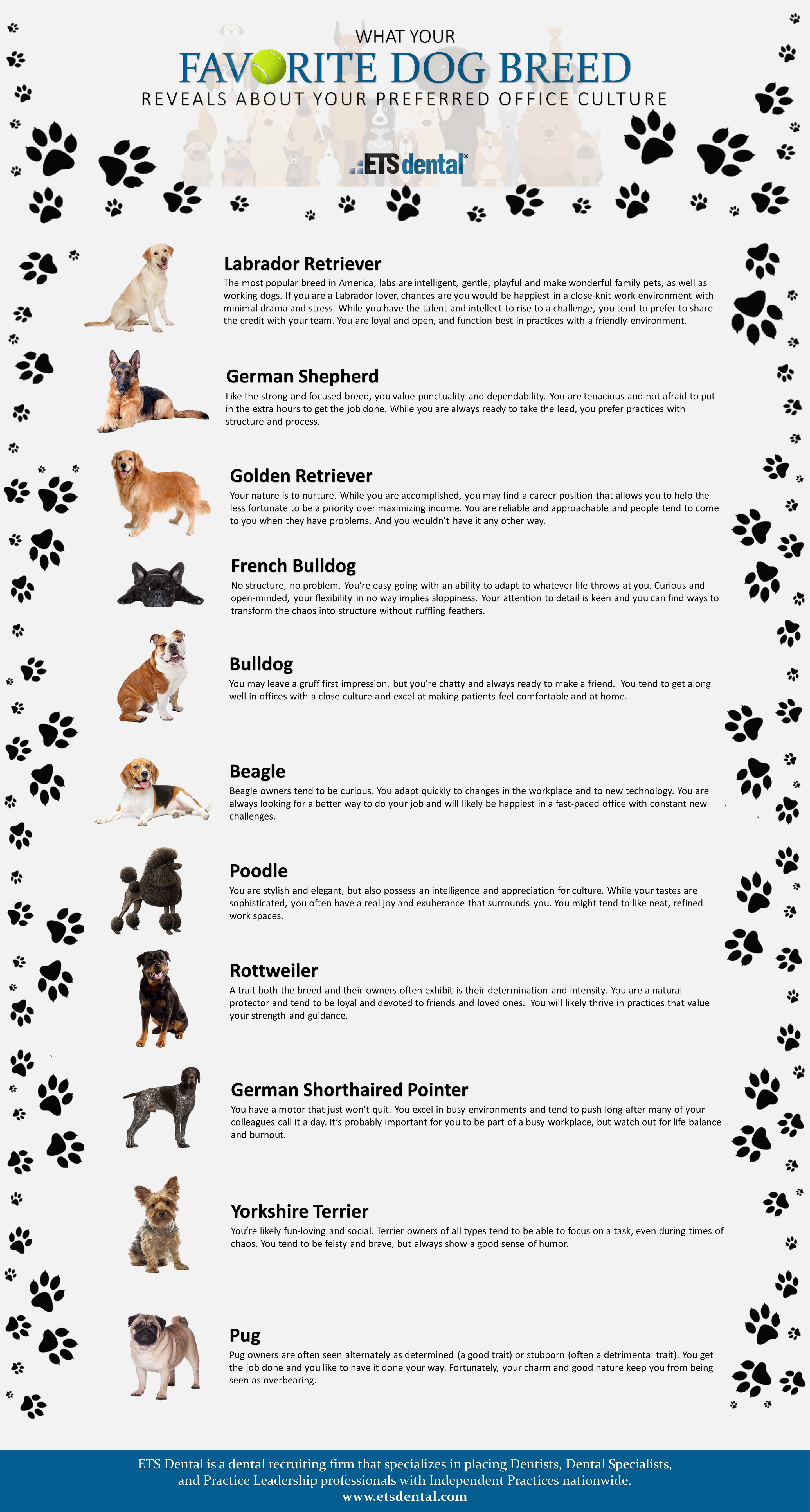 What Your Favorite Dog Breed Says About You  
